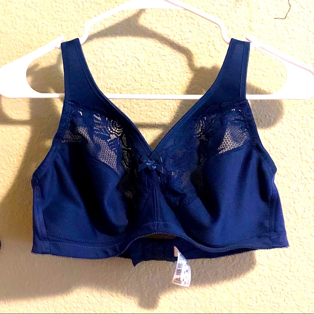 Blue Bra 38D